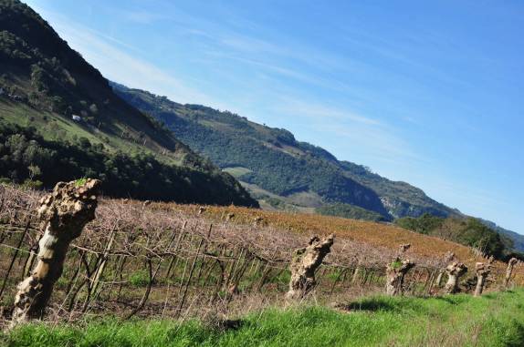 A paisagem bucólica no Vale dos Vinhedos, em Bento Gonçalves - RS